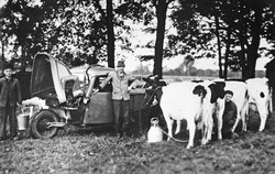 Melkmaschine mit Antrieb durch ein Dreiradfahrzeug (Goliath Tempo), 1953 in Hummeldorf. Foto: Bildarchiv des Emslandmuseums Lingen. (vergrößerte Bildansicht wird geöffnet)