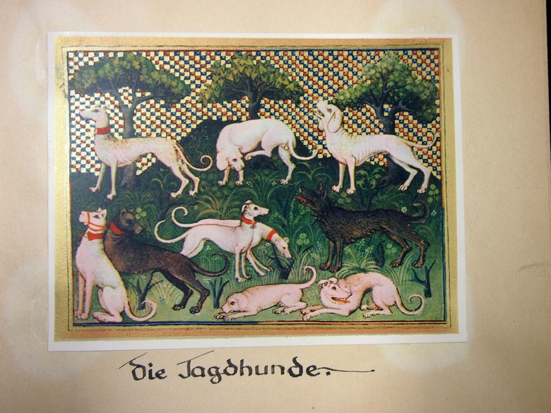 „Die Jagdhunde“. Bildausschnitt aus dem gestalteten Jagdbuch des Grafen Phoebus (Archiv für Alltagskultur, Personenbestand Peter Tell, K03197.0045).