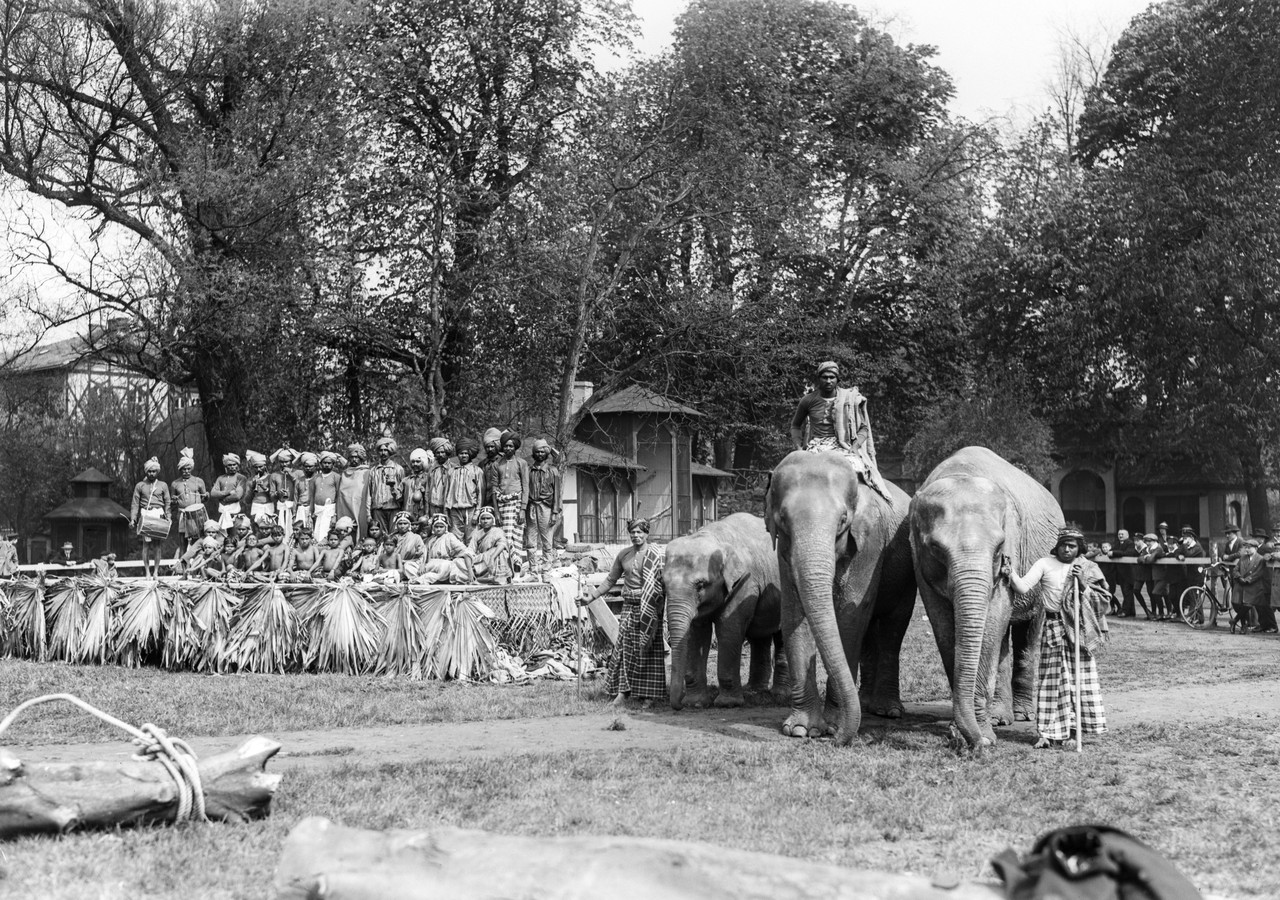 Das Ensemble der Zurschaustellung „John Hagenbeck’s Süd-Indien“ 1925 im alten Zoo Münster. Foto: Hermann Reichling © LWL-Medienzentrum für Westfalen.