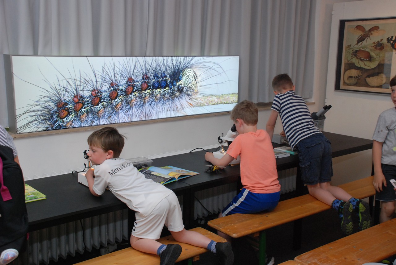 Experimentierbereich für Kinder und Jugendliche. Foto: Andreas Eiynck, Emslandmuseum Lingen.