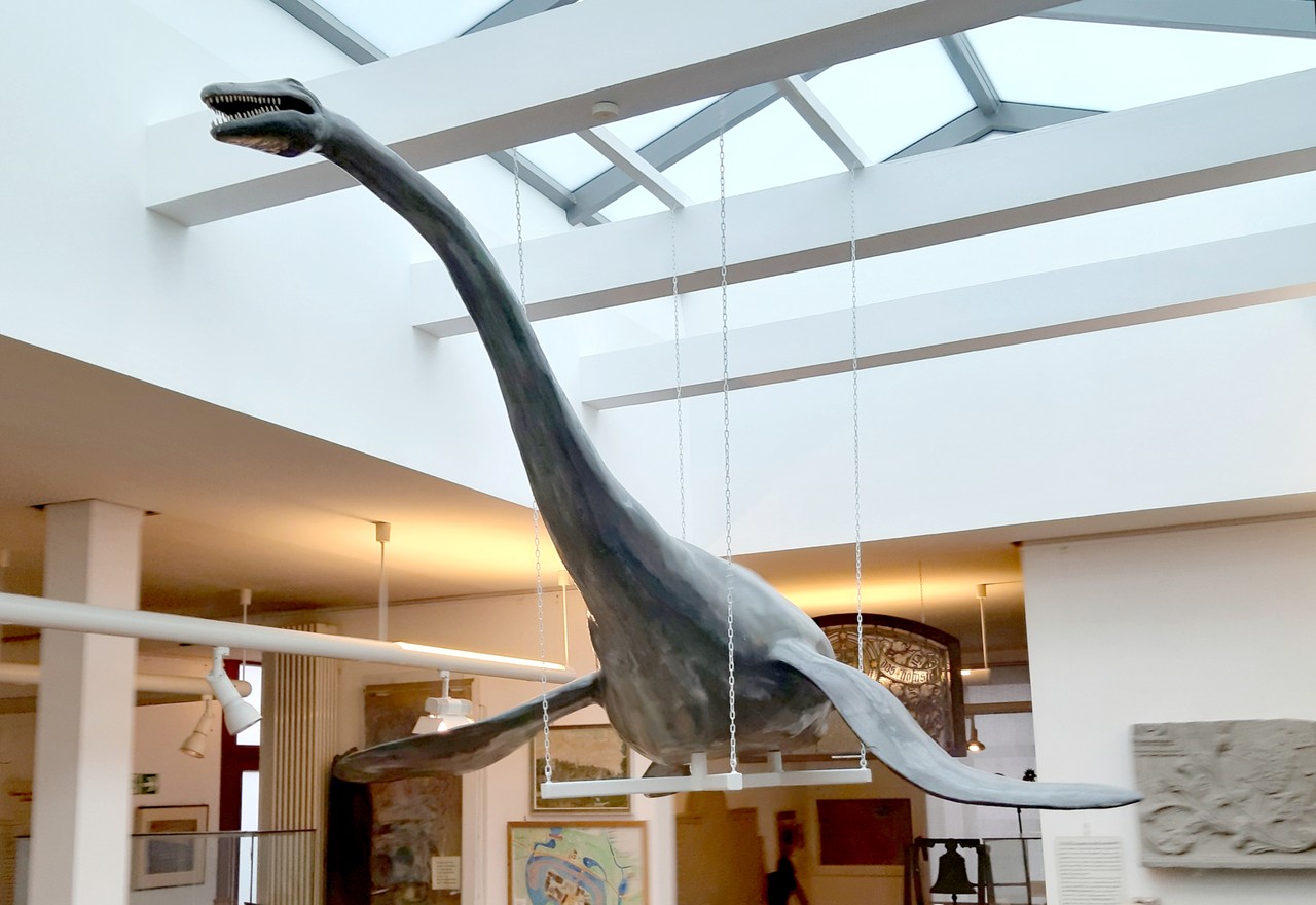 Unübersehbar begrüßte bislang das Gipsmodell des in Gronau entdeckten „Brancasaurus Brancai“ die Besucher im Drilandmuseum. Quelle: Emil Schoppmann.