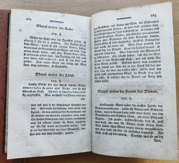 Bienenbuch