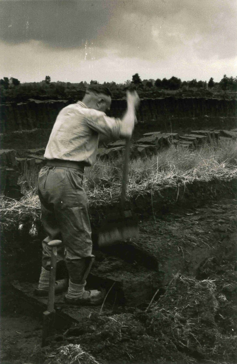 Ein Torfstecher 1956 im Amtsvenn bei der Arbeit. Hinter sich hat er außerdem einen Torfspaten stehen. (Foto: STAV Dep. FAHV Nr. 2105o)