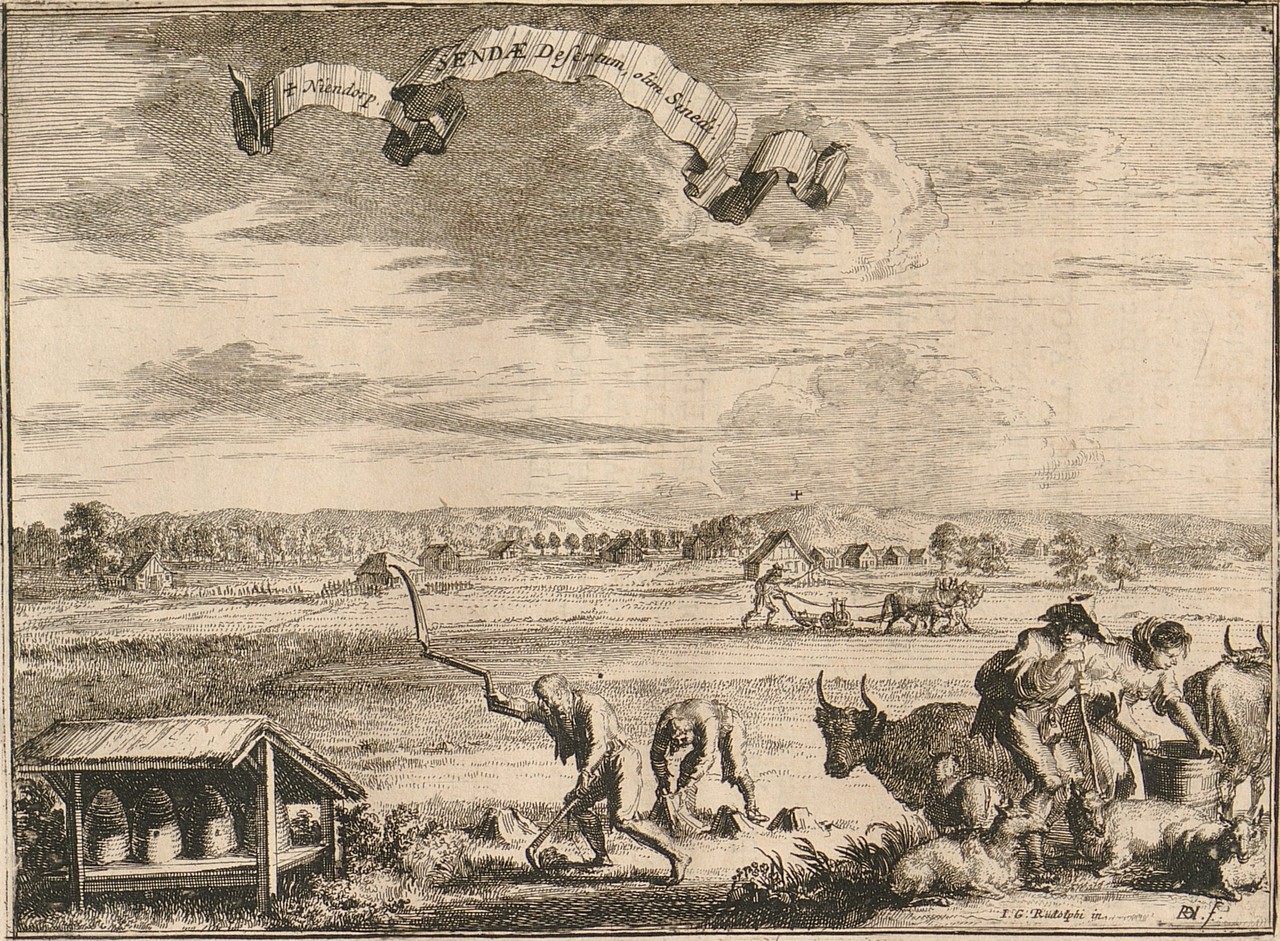 Ein bekannter Stich von Johann Georg Rudolphi aus dem Jahr 1672 zeigt die Senne, in: Monumenta Paderbornensia, S. 232, Foto: Wikimedia Commons, gemeinfrei.