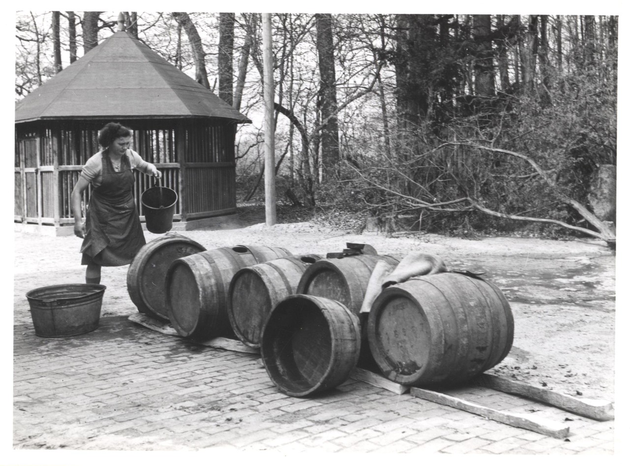 „Das Reinigen der Fässer“, Foto: Bringemeier 1952, Archiv für Alltagskultur in Westfalen, 0000.01676.