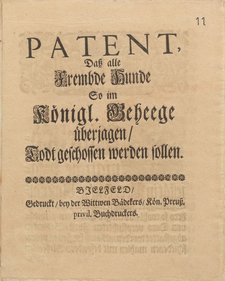 Das „PATENT, Daß alle Frembde Hunde, So im Königl. Geheege überjagen, Todt geschossen werden sollen“ stammt aus dem Jahr 1790, Foto: LAV NRW W, D 607/Kriegs- und Domänenkammer Minden, Nr. 2650, fol. 11r.