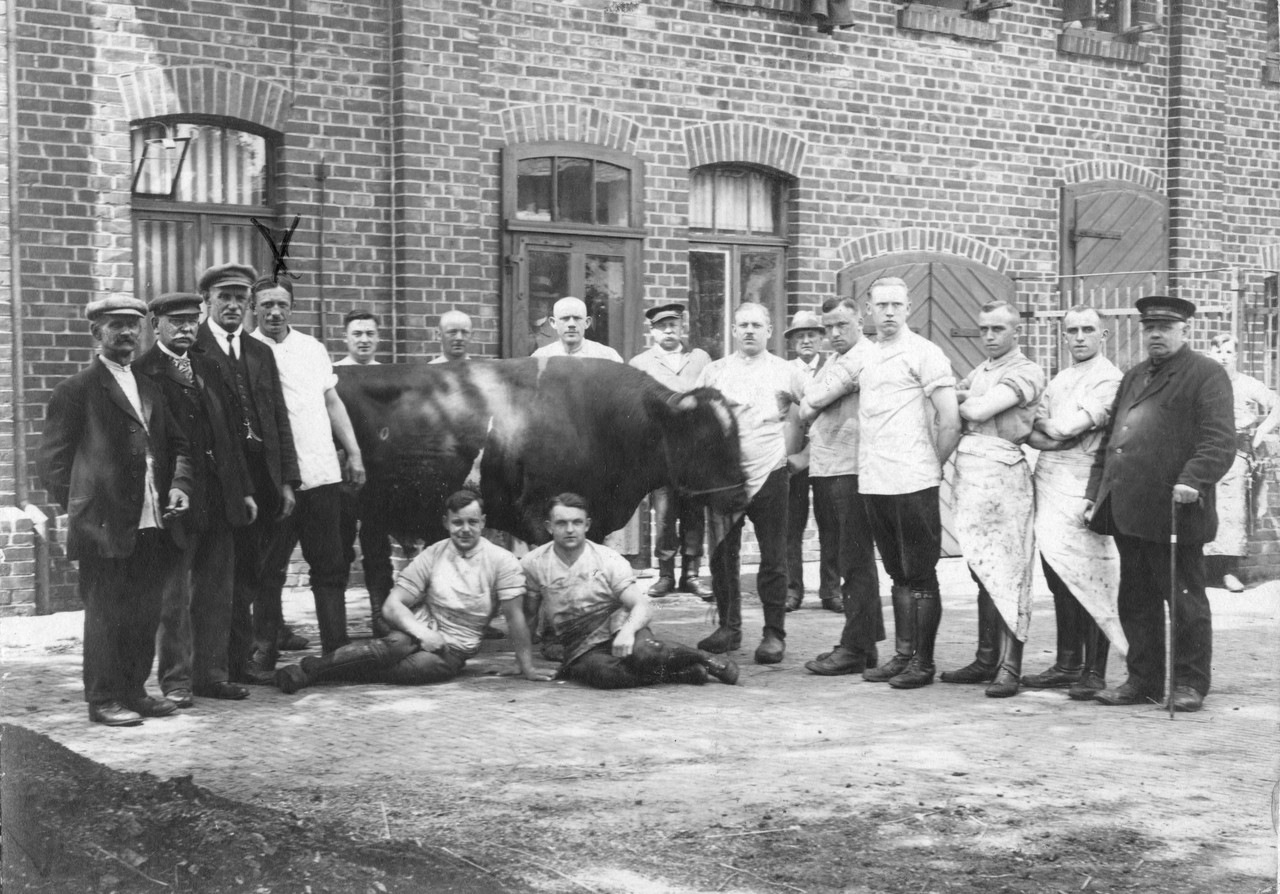 Pfingstochse auf dem Schlachthof in Lingen (um 1930). Foto: Bildarchiv des Emslandmuseums Lingen.
