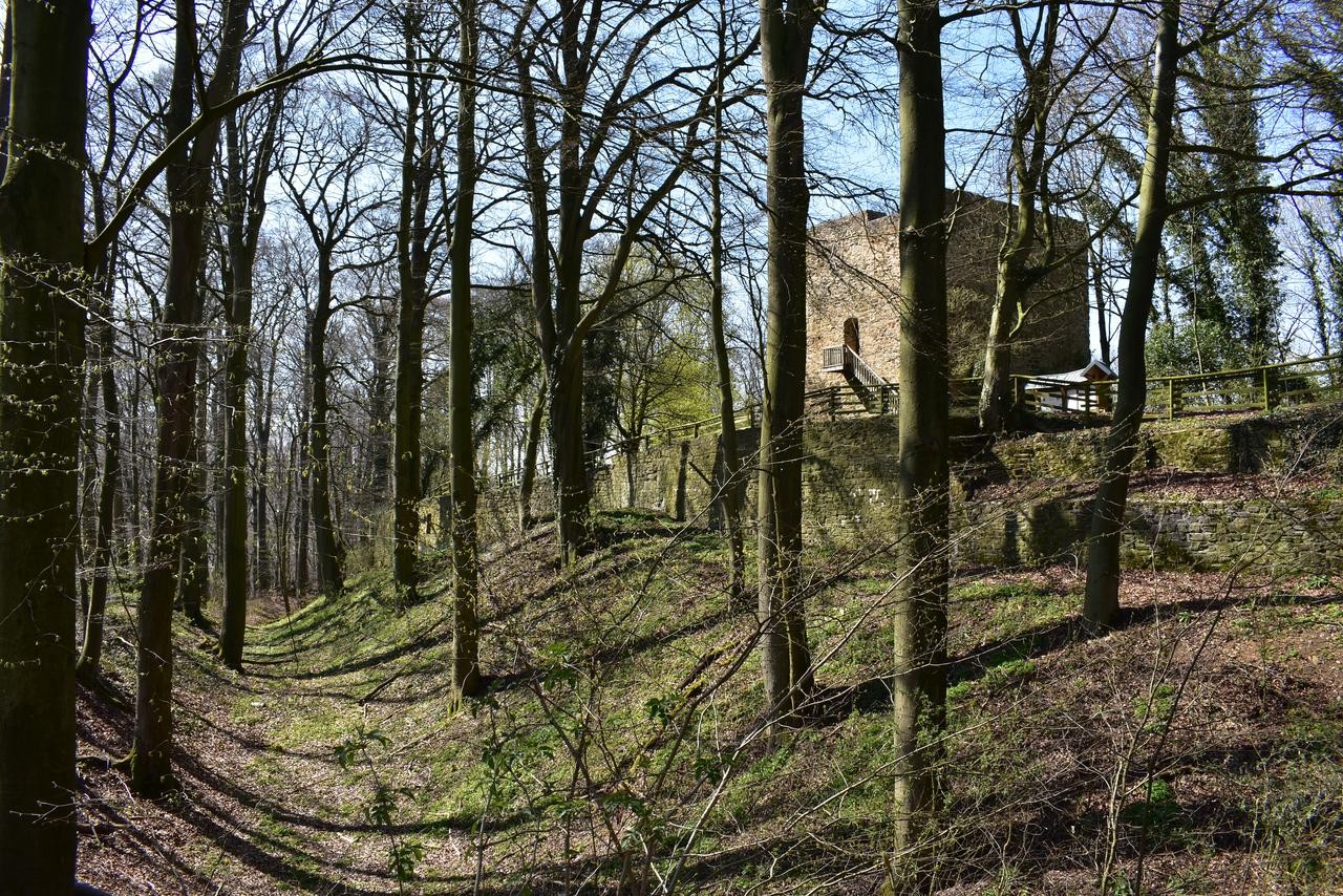 Heutiger Zustand der Burgruine Limberg.