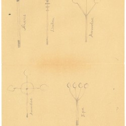 Zeichnungen von Heinz Bügener, Ahaus, 1953, Archiv für Alltagskultur in Westfalen, MS00314. (vergrößerte Bildansicht wird geöffnet)