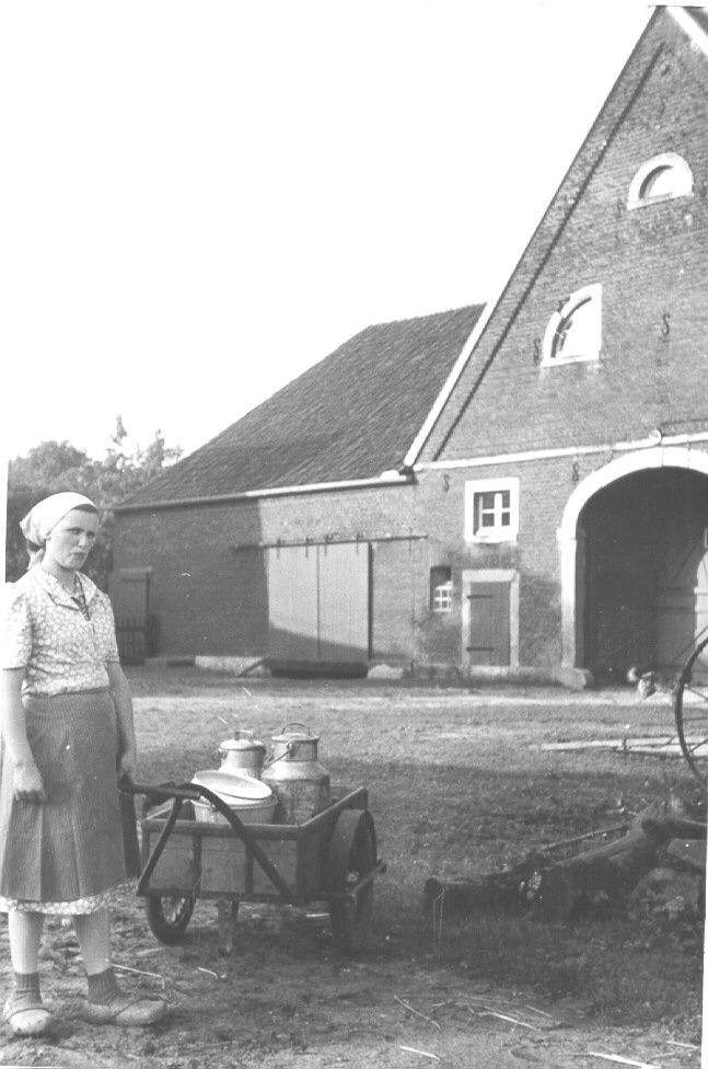 Auf dem Weg zum Melken, Münster-Nienberge 1954, Foto: Adolf Risse (Archiv für Alltagskultur, Sign.: 0000.03742)