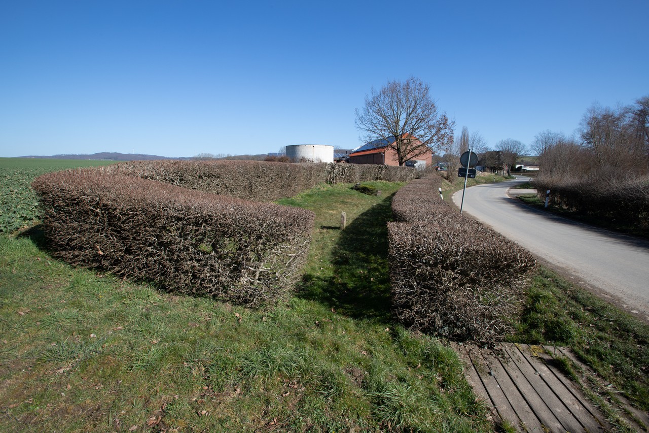 Jüdischer Friedhof in Bega, Sibbentruper Straße. (Peter Wehowsky, Bielefeld)