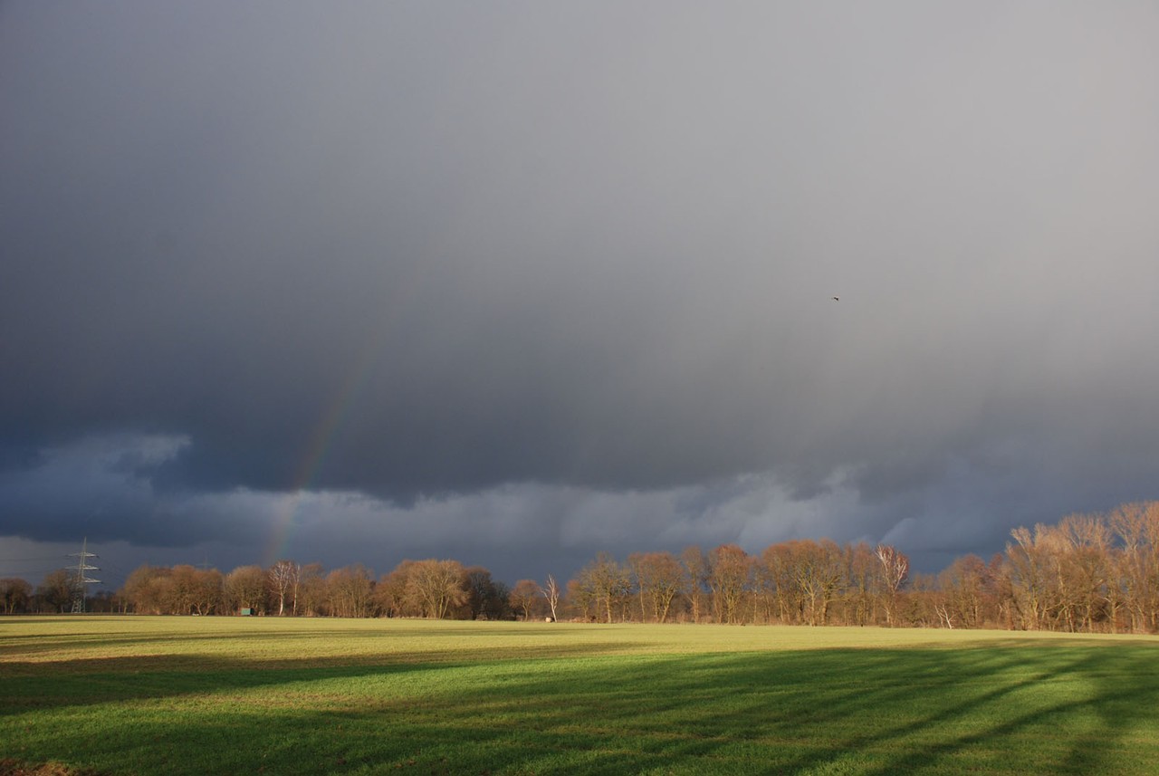 Landschaftsaufnahme Haddorf