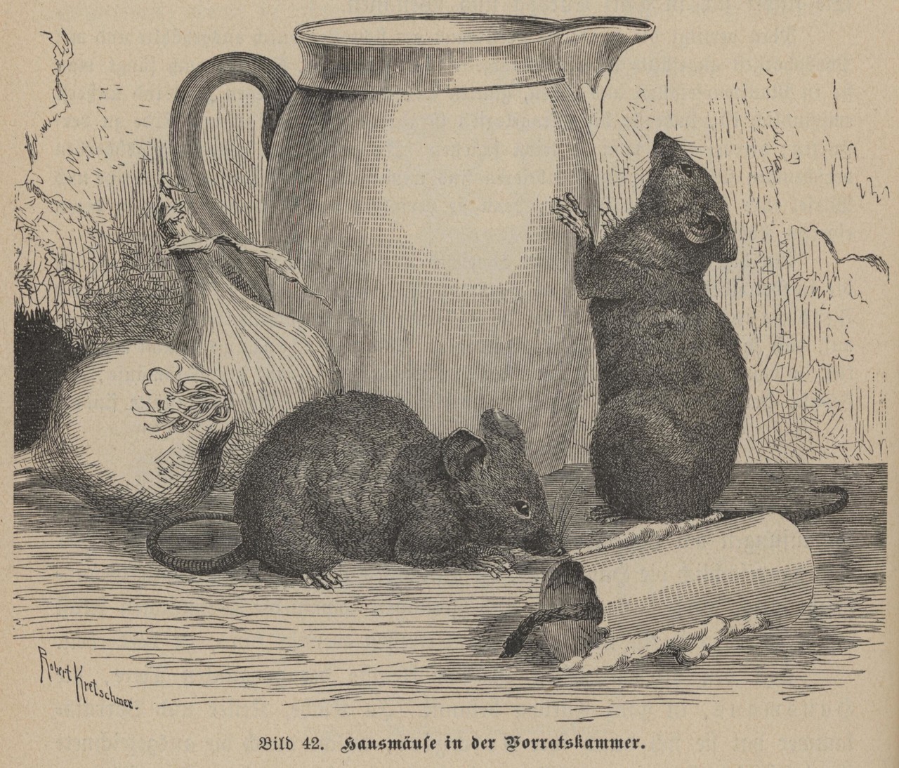 „Hausmäuse in der Vorratskammer“ lautet die originale Bildunterschrift zu Bild Nr. 42. (Foto: Alltagskulturarchiv)