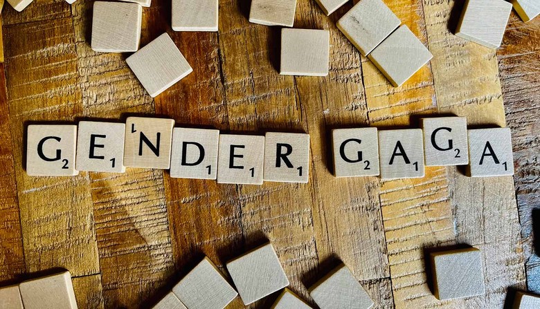 „Gender-Gaga“ – nur eines der vielen Träger-Worte im deutschen Kulturkampf. Foto: Sandra Danneil für nordstadtblogger.de
