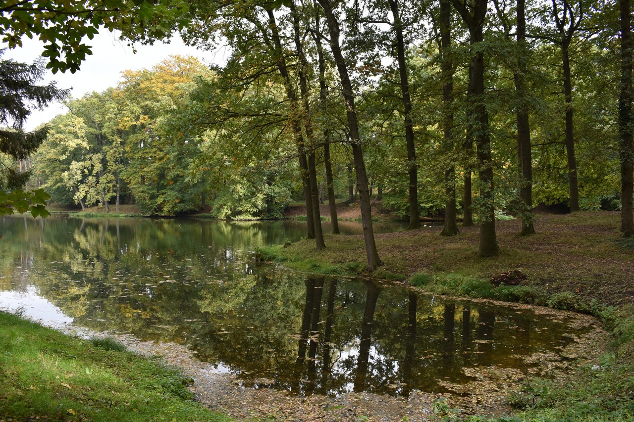 Der aufgestaute Teich am Homborn. Foto: Andreas Eiynck.