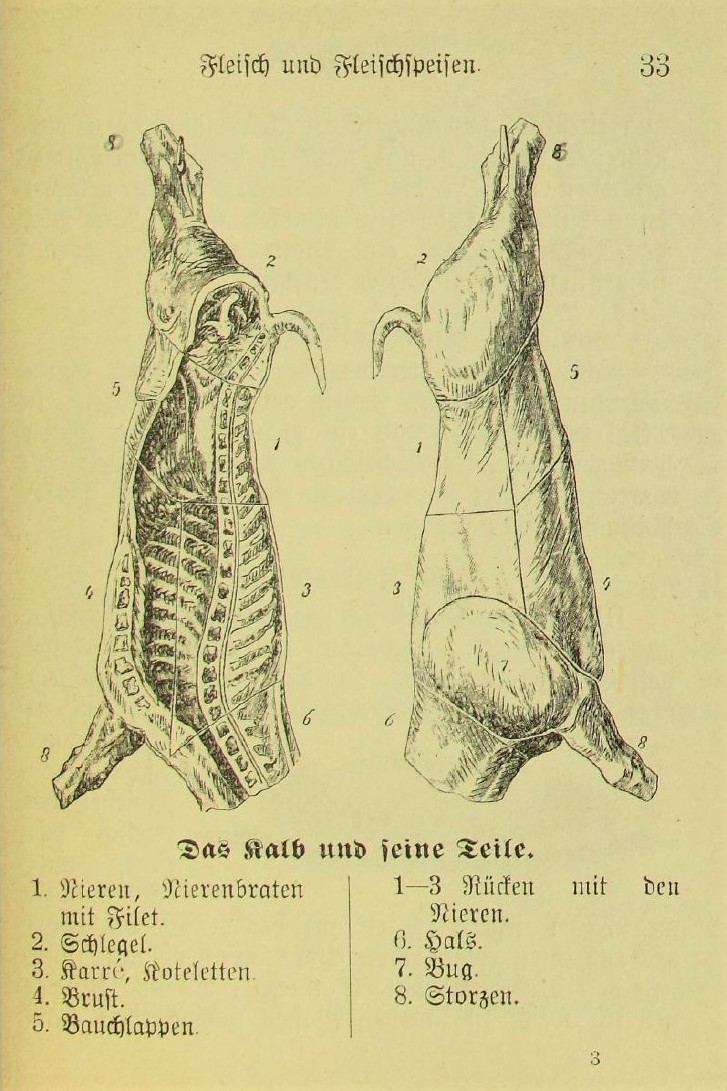 „Fleisch und Fleischspeisen lassen sich in der Puppenküche deshalb nur schwer herstellen, weil ihre Bereitung viel Zeit und längeres Feuern erfordert; deshalb soll aber doch das Nötigste hierüber nicht fehlen […]“ (Löffler 1901, S. 31, Abb. S. 33), online unter https://digital.slub-dresden.de/werkansicht/dlf/10054/45.