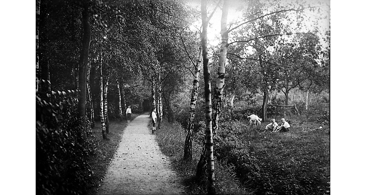 Partie des Lemgoer Walls, mit Kindern beim Ziegenhüten, um 1900. Stadtarchiv Lemgo N 9, Fotoarchiv Ohle (Depositum Alt Lemgo / Mische) GPK 1074.