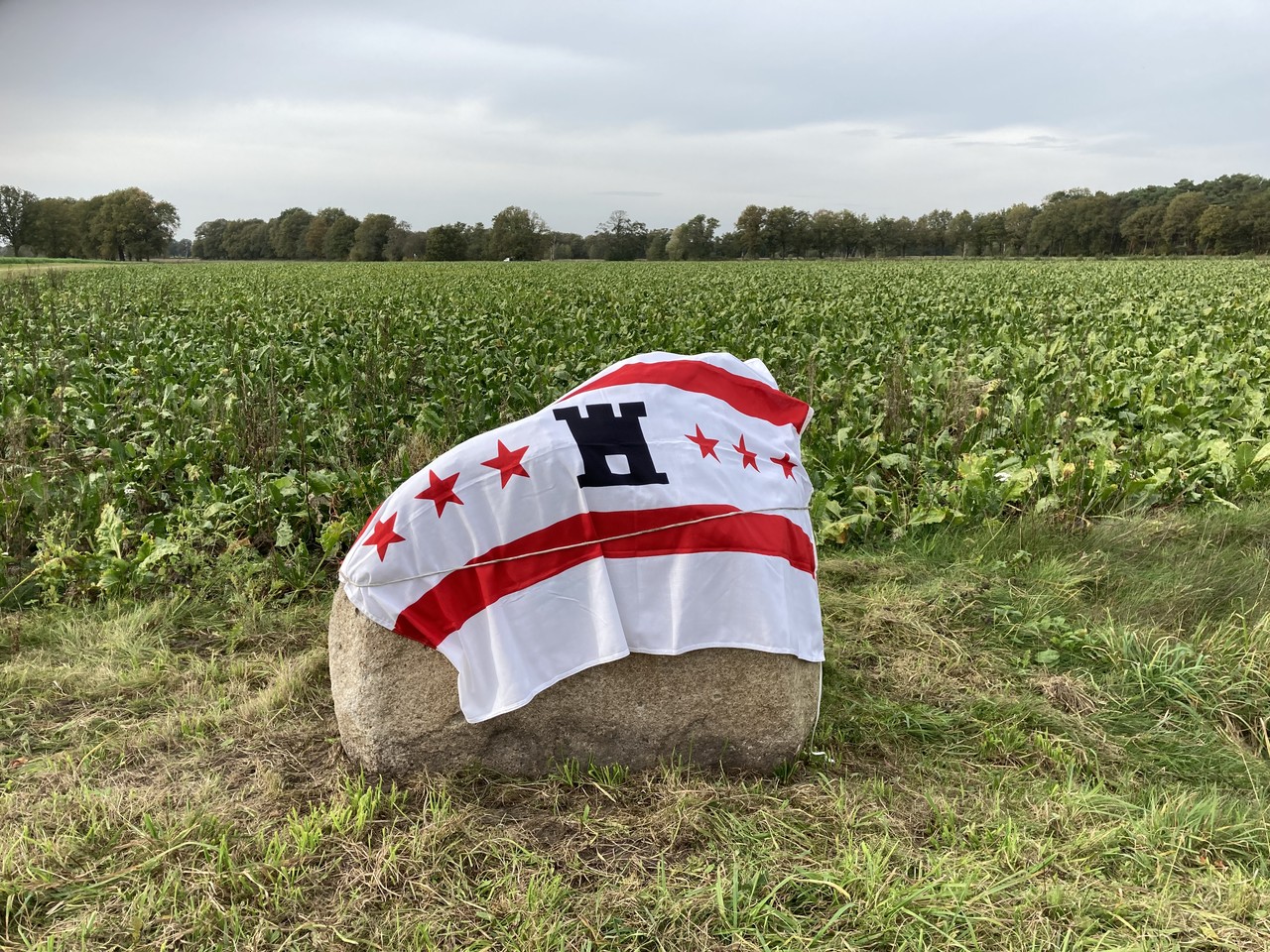 Ein neuer Markenstein an der Grenze zwischen Gees und Zwinderen. Foto: Andreas Eiynck.