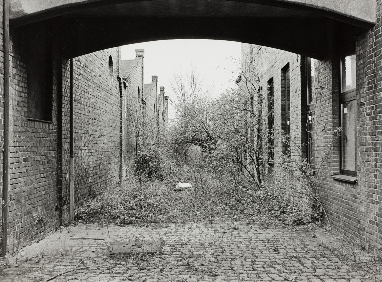 „Lost-Place“ Herding, April 2015. Kurz nach dem Ankauf der Spinnerei bietet das fast 100 Jahre alte Industrieareal verwunschene Durchblicke. (Foto: Berthold Socha)