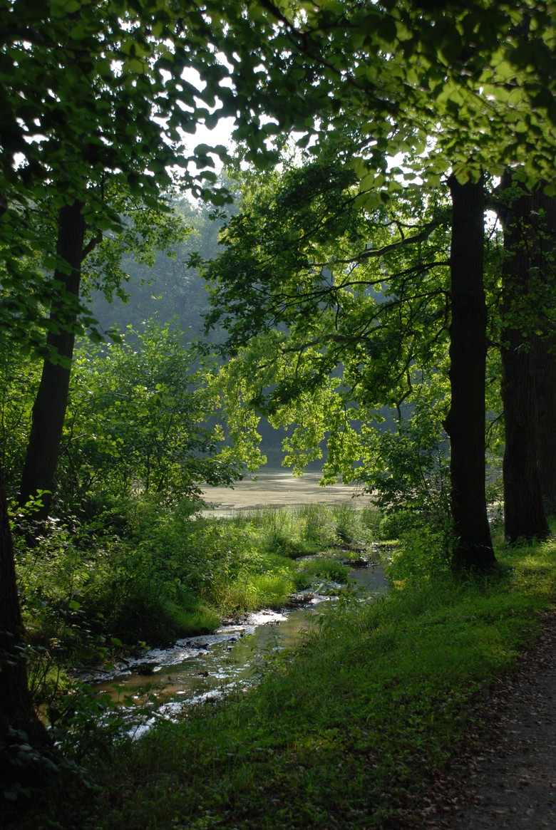 Im Tiergarten von Schloss Raesfeld