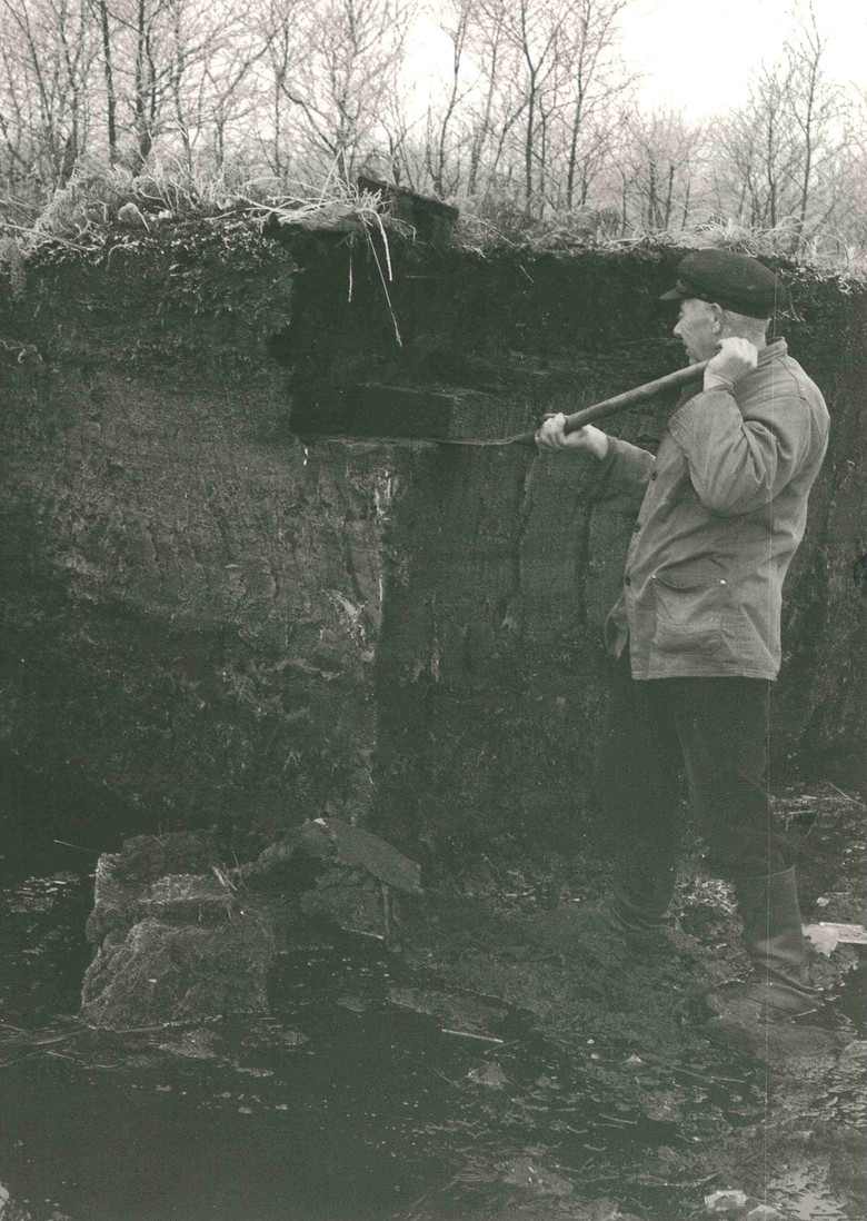 Ein Bauer oder Torfarbeiter im Amtsvenn beim Torfstich mit dem „Torfspaon“ 1956. Auffällig sind seine „Klumpstewwel“. (Foto: STAV Dep. FAHV Nr. 2105i)