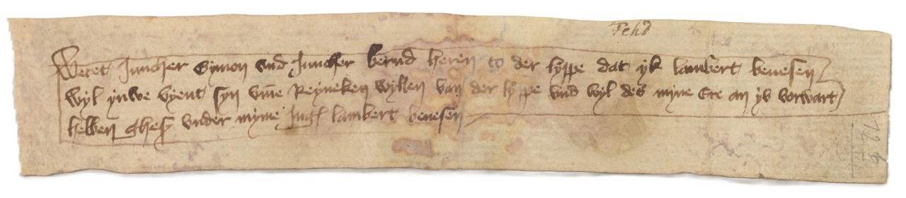 LAV NRW OWL, L 1/Lippische Landesherrschaft (Urkunden), Nr. 651 (Vorderseite).