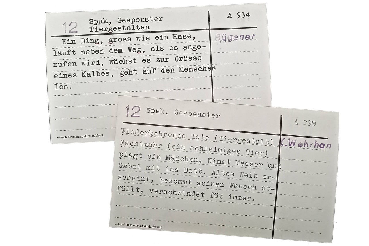 Die Karten für die zwei Sagen A 299 und A 934: Schleimige Nachtmahr und kalbsgroßer Hase. Foto: Dorothee Jahnke.
