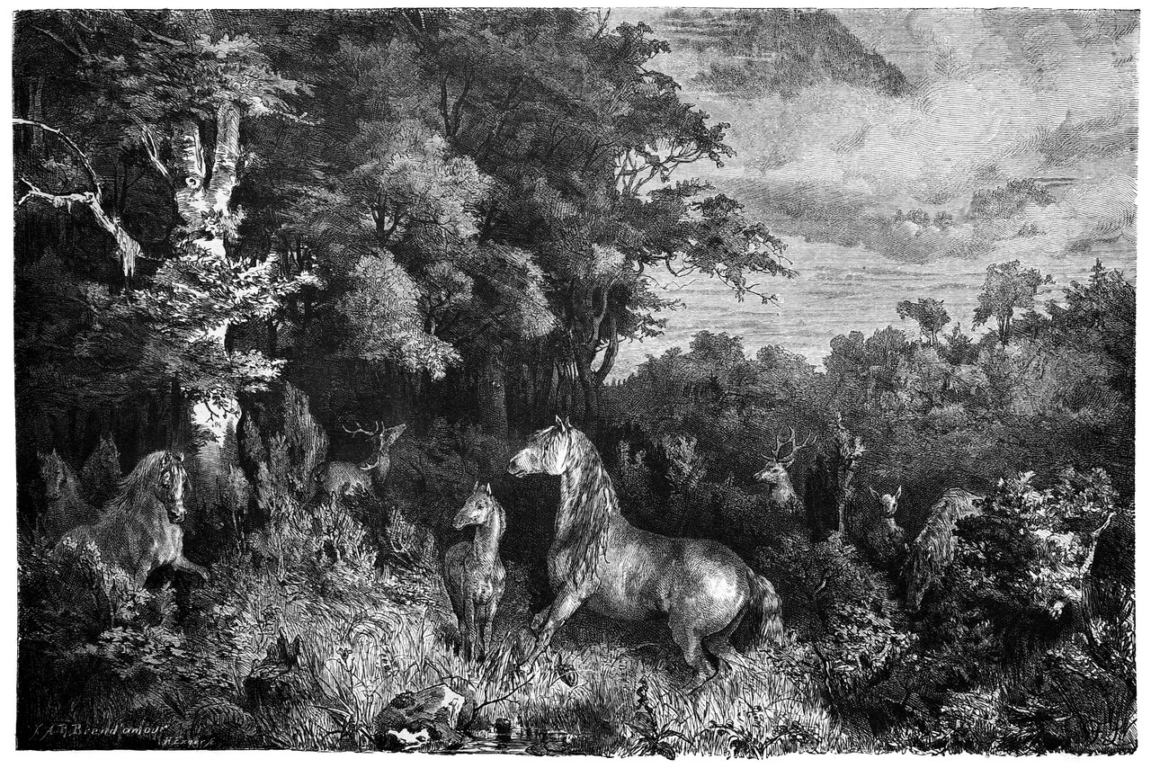 Eine romantisierende Zeichnung von wildlebenden Pferden in der Zeitschrift „Die Gartenlaube“ von 1879.