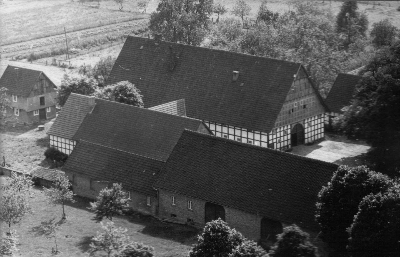 Das Haupthaus des Hofes Ibershoff in Lienen (Kreis Steinfurt), hier auf einem Luftbild des Jahres 1956, steht bis heute als 1805 errichtetes Vierständerhaus „up hauge Weige“ (Bild: Heimatverein Lienen).