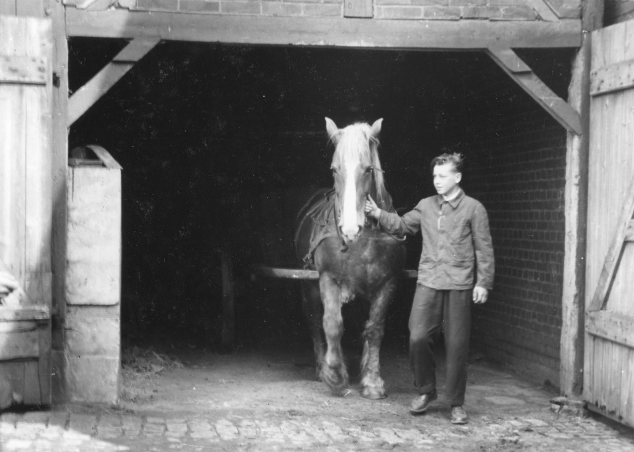 Der fachgerechte Umgang mit dem Pferdewagen gehörte 1957 noch zu den praktischen Fertigkeiten, deren Beherrschung ein Jungbauer im Berufswettkampf unter Beweis stellen musste. (Foto: Adolf Risse, Archiv für Alltagskultur, Sign. 0000.07455)