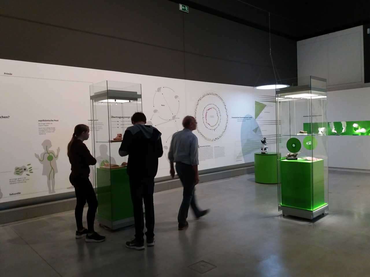 Die medizinisch-biologischen Grundlagen der Krankheit werden gleich zu Beginn der Ausstellung erläutert (Foto: Cantauw).