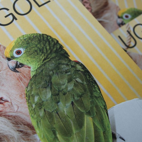 Erste Ausgabe von Graugold. Magazin für Alltagskultur