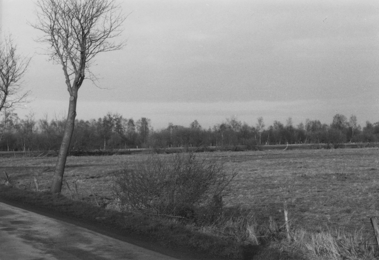 Moorlandschaft in Stemwede-Dielingen um 1983. So oder ähnlich könnte es auch in Borgholzhausen ausgesehen haben, ehe die Menschen begannen, das Moor trockenzulegen, um die Fläche landwirtschaftlich oder anderweitig zu nutzen, Foto: Gerda Schmitz, Archiv für Alltagskultur, 1984.03161.