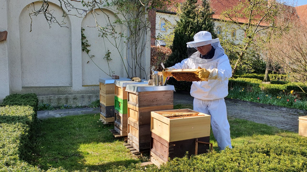 Jeder ist willkommen und kann sich in verschiedenen Bereichen rund um das Kloster engagieren. Dazu zählt auch die Pflege der vier Bienenvölker im Klostergarten, Foto: Genossenschaft Kloster Wiedenbrück eG.