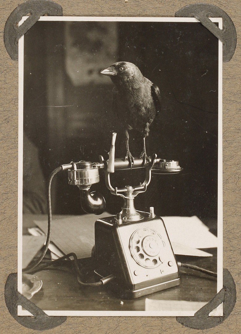 Das Telefon gehörte um 1930 noch nicht zur Ausstattung eines jeden Arbeitsplatzes. (Fotoalbum Personenbestand Schirra, Archiv für Alltagskultur, Sign. K03129.0011)