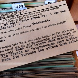 vergrößerte Bildansicht wird geöffnet